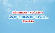 Ẩn dụ là gì? Hoán dụ là gì cho ví dụ? Ngữ Văn lớp 6